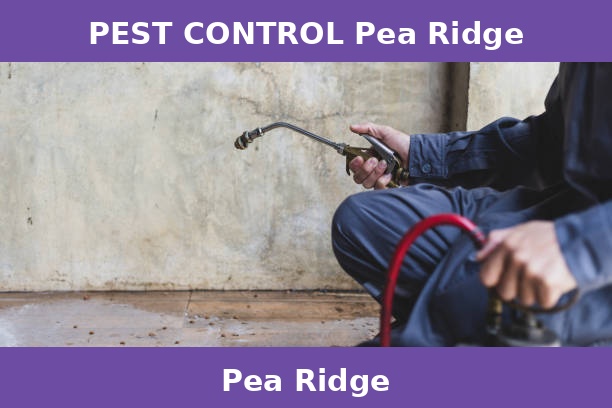 PEST CONTROL Pea Ridge
